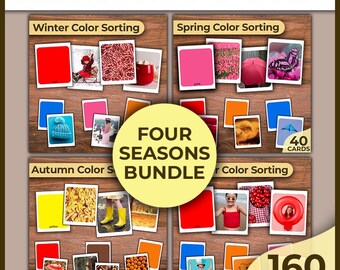 Four Seasons Matching Activity Bundle Color Sorting Activity Game Montessori Color Sorting Matching Colors Learning Colors Prek Activity Kid