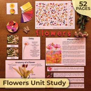 Blumen Einheit Studie Alles über Blumen Wissenschaftliche Einheit Blumen Wissenschaftliche Aktivitäten Blumen Montessori Einheit Studieren Blumen Anatomie Blütenpflanzen