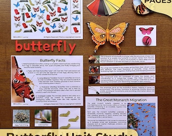 Schmetterlingseinheitsstudie Schmetterlingsanatomie Schmetterlingslebenszyklus Schmetterlingsnaturstudie Montessori-Schmetterlingswissenschaftseinheit Schmetterling zum Ausdrucken