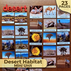 Puede incluir: Tarjetas educativas con imágenes de animales y plantas del desierto. Las tarjetas incluyen un fennec, un camello dromedario, una serpiente de cascabel, una tortuga del desierto, un correcaminos, un órice árabe, una caléndula del desierto, un árbol y un altramuz del desierto. El texto "Desert Habitat Mini Unit" está presente.