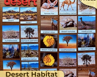 Könnte beinhalten: Bildkarten mit Wüstenmotiven, darunter Tiere und Pflanzen. Die Karten zeigen einen Fennek, ein Dromedar, eine Klapperschlange, eine Wüstenschildkröte, einen Roadrunner, einen Arabischen Oryx, eine Wüstenmarigold, einen Baum und eine Wüstenlupine. Der Text "Desert Habitat Mini Unit" ist ebenfalls vorhanden.