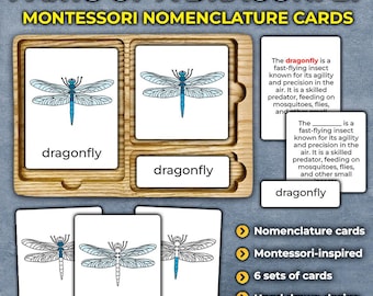 Libelle Nomenklaturkarten Montessori Insekten 3 Teilkarten Montessori Insekten Karteikarten Libelle Anatomie Teile einer Libelle