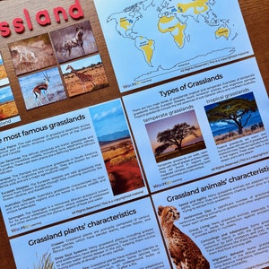 Animal Habitats Unit Study Animals and Habitats Biomes of the World ...