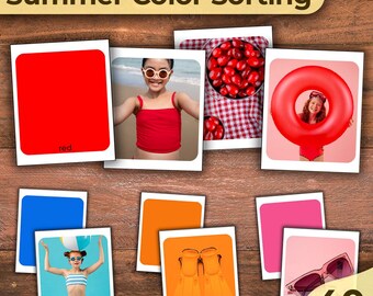 Summer Activity for Toddlers Color Sorting Activity Game Learning Colors Flash Cards Activity to Learn Colors Activities to Learn the Colors