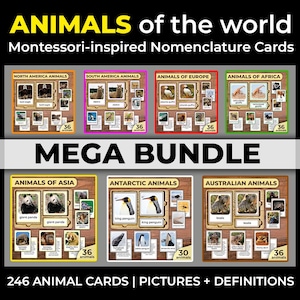 Animals of the World Animals Flashcards Animals Fact Cards Animals by Continents Animals of Africa Animals of North America Montessori