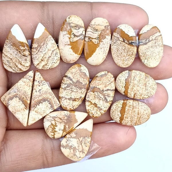 Natural Picture Jasper Cabochon/Picture Jasper Earrings/Natural Jasper Stone Stud Earrings/For Making Earrings Stones/Jewelry Set/106ct/A569