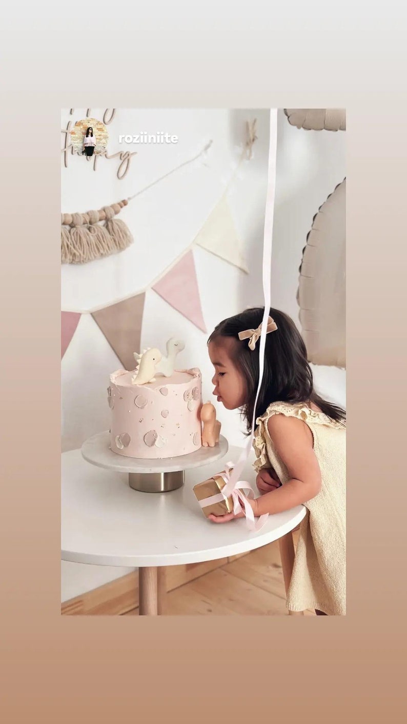 This beautiful pastel bunting banner will be perfect decoration for kids nursery, anniversary, festive, baby shower or restaurant. it made from 100% cotton fabric and have a OEKO-TEX sertificate. We do custom order for triangle flags as many you need