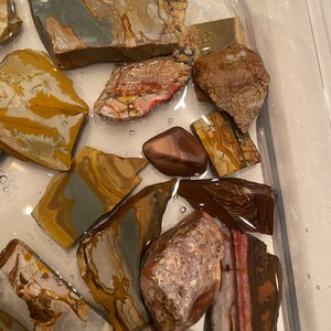 Puede incluir: Una colecci&oacute;n de piedras de &aacute;gata pulidas multicolores en un recipiente de pl&aacute;stico transparente lleno de agua. Las piedras tienen una variedad de patrones y colores, incluyendo marr&oacute;n, rojo, blanco y gris.