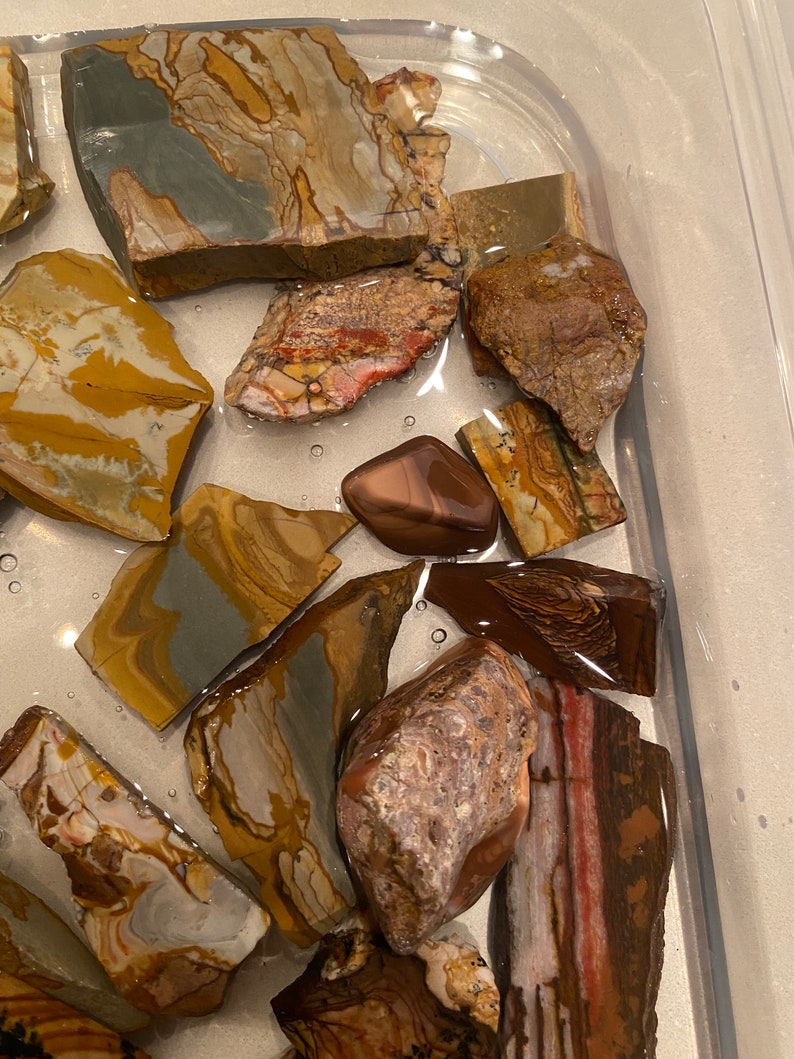 Puede incluir: Una colecci&oacute;n de piedras de &aacute;gata pulidas multicolores en un recipiente de pl&aacute;stico transparente lleno de agua. Las piedras tienen una variedad de patrones y colores, incluyendo marr&oacute;n, rojo, blanco y gris.