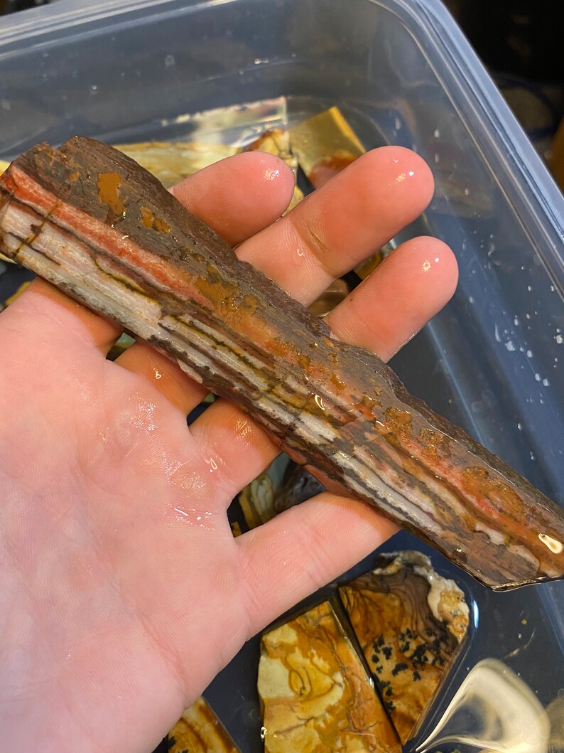 Puede incluir: Primer plano de una piedra larga y delgada, multicolor, con rayas marrones, blancas y rojas. La piedra est&aacute; mojada y parece estar en un recipiente con agua.