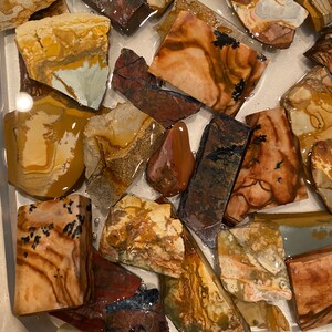 Puede incluir: Una colecci&oacute;n de piedras de &aacute;gata de colores, con patrones y texturas, en diversas formas y tama&ntilde;os. Las piedras est&aacute;n sumergidas en agua, creando un efecto brillante.