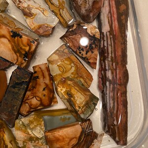 Puede incluir: Una colecci&oacute;n de piedras de &aacute;gata pulidas multicolores en un recipiente de agua transparente. Las piedras tienen una variedad de patrones y colores, incluyendo marr&oacute;n, blanco y rojo.