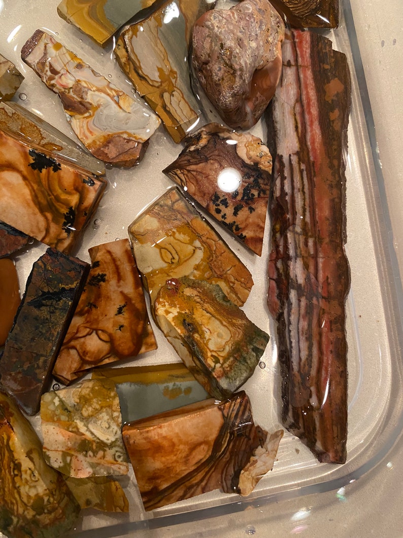 Puede incluir: Una colecci&oacute;n de piedras de &aacute;gata pulidas multicolores en un recipiente de agua transparente. Las piedras tienen una variedad de patrones y colores, incluyendo marr&oacute;n, blanco y rojo.