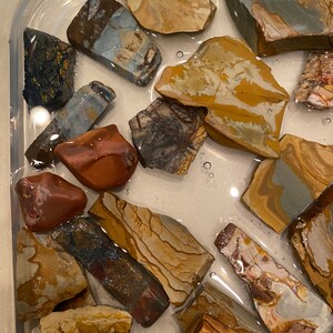 Puede incluir: Una colecci&oacute;n de piedras pulidas en varios tonos de marr&oacute;n, gris y blanco, con intrincados patrones y texturas, expuestas en una bandeja transparente.