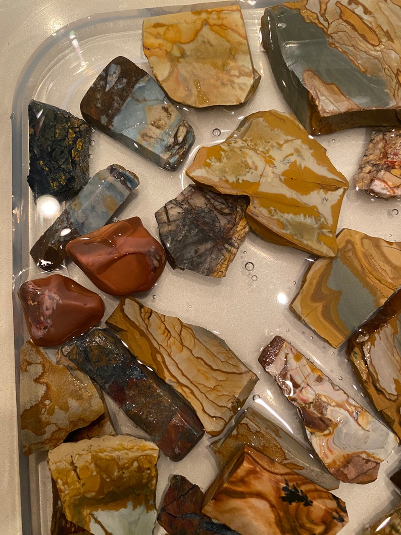 Puede incluir: Una colecci&oacute;n de piedras pulidas en varios tonos de marr&oacute;n, gris y blanco, con intrincados patrones y texturas, expuestas en una bandeja transparente.