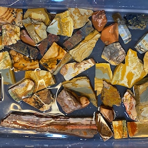 Puede incluir: Una colecci&oacute;n de piedras pulidas de formas irregulares y coloridas en un recipiente de pl&aacute;stico transparente. Las piedras son principalmente marrones, amarillas y blancas con algunas marcas negras y grises.