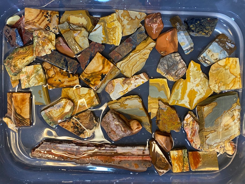 Puede incluir: Una colecci&oacute;n de piedras pulidas de formas irregulares y coloridas en un recipiente de pl&aacute;stico transparente. Las piedras son principalmente marrones, amarillas y blancas con algunas marcas negras y grises.