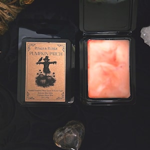 May include: Two black wax melt containers. One is closed, showing a label with the text "PETALS & PLUMES PUMPKIN PATCH". The other is open, revealing a light orange wax melt. A heart-shaped stone sits below.