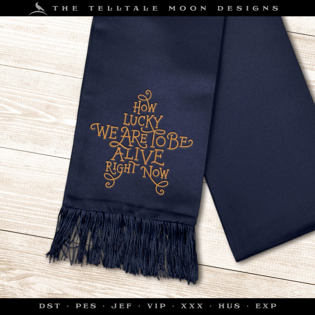 Embroidery Hamiltoninspired Quote, in Handlettered Sketch Stitch 5, 6, 7, 8, 9, 10, 11, and