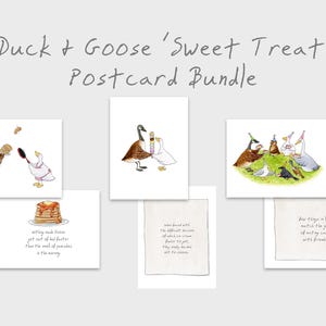 Ente & Gans Postkarten Bundle