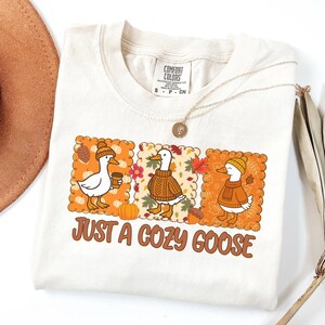 Könnte beinhalten: Ein cremefarbenes T-Shirt mit einer Grafik von drei Gänsen, die herbstliche Kleidung wie Mützen und Pullover tragen, umgeben von Kürbissen und Blättern. Der Text unter den Gänsen lautet JUST A COZY GOOSE in braunen Buchstaben. Das Shirt hat ein Label.
