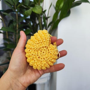 Crochet Raffia Seashell Keychain, Bag Charm for Women, Car Mirror Pendant, Summer Eco Gift, Coastal Accessory