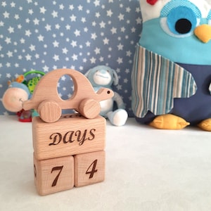 Baby Month and Age Milestone Blocks - Baby Shower Gift