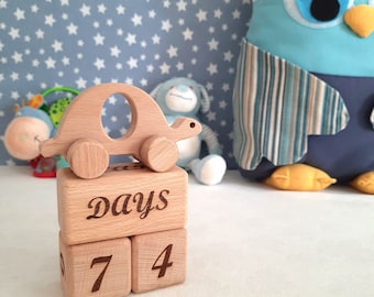 Baby Month and Age Milestone Blocks - Baby Shower Gift