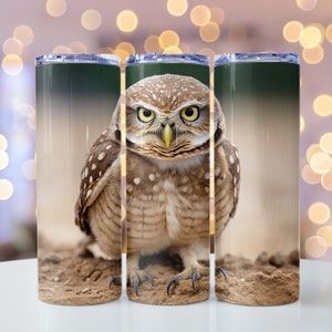 Burrowing Owls by Palmer New 9781682034040 Fast Free Shipping..  9781682034040
