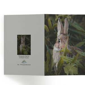 Rabbit sat amongst the grass Personalised Greeting Card