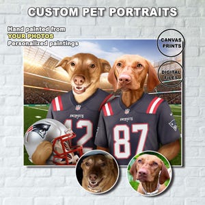 Custom dog's portrait Patriots uniforms - Cats Patriots - Custom portrait of your favorite football team's pet.