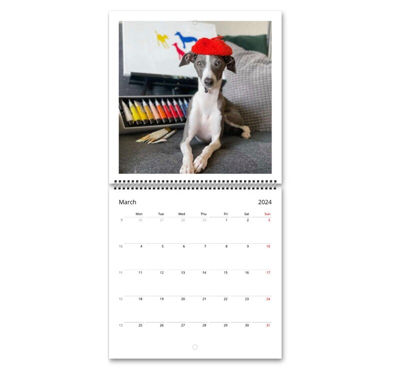 Nola the Iggy 2024 Calendar international Etsy