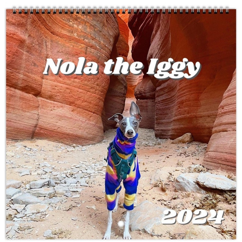 Nola the Iggy 2024 Calendar international Etsy