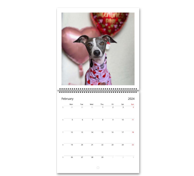 Nola the Iggy 2024 Calendar international Etsy