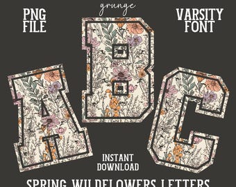 Alfabeto de flores silvestres PNG, fuente floral universitaria, retro grunge, flores de primavera, conjunto alfa, letras de verano, número, patrón floral de moda, clipart ABC