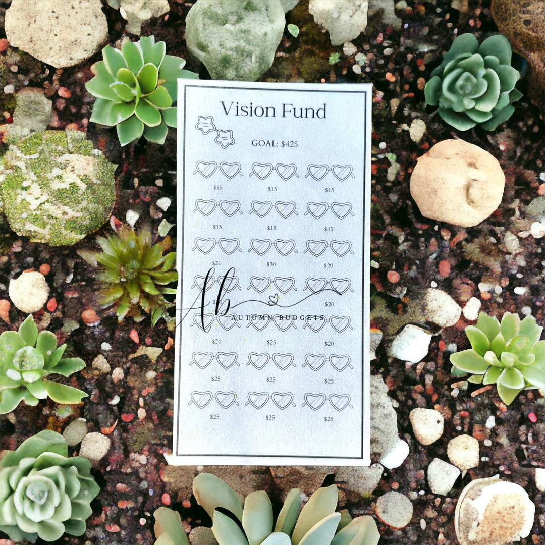 Vision Binder Laminated Vision Budget Binder/vision/425 Savings/sinking Funds/savings ...