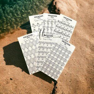 Laminated Vacation Savings funds/budget binder/A6/savings/savings challenge/budget/vacation