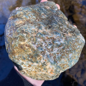 Rough Teanaway Blue Nephrite Jade Rock, 4.2 lbs. (1.9 kg.)