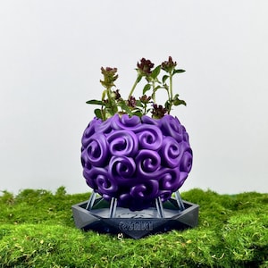 Può includere: Un vaso di fiori a forma di spirale viola con una piccola pianta che cresce al suo interno. Il vaso è su una base nera con la parola "SAIKI" stampata su di essa.