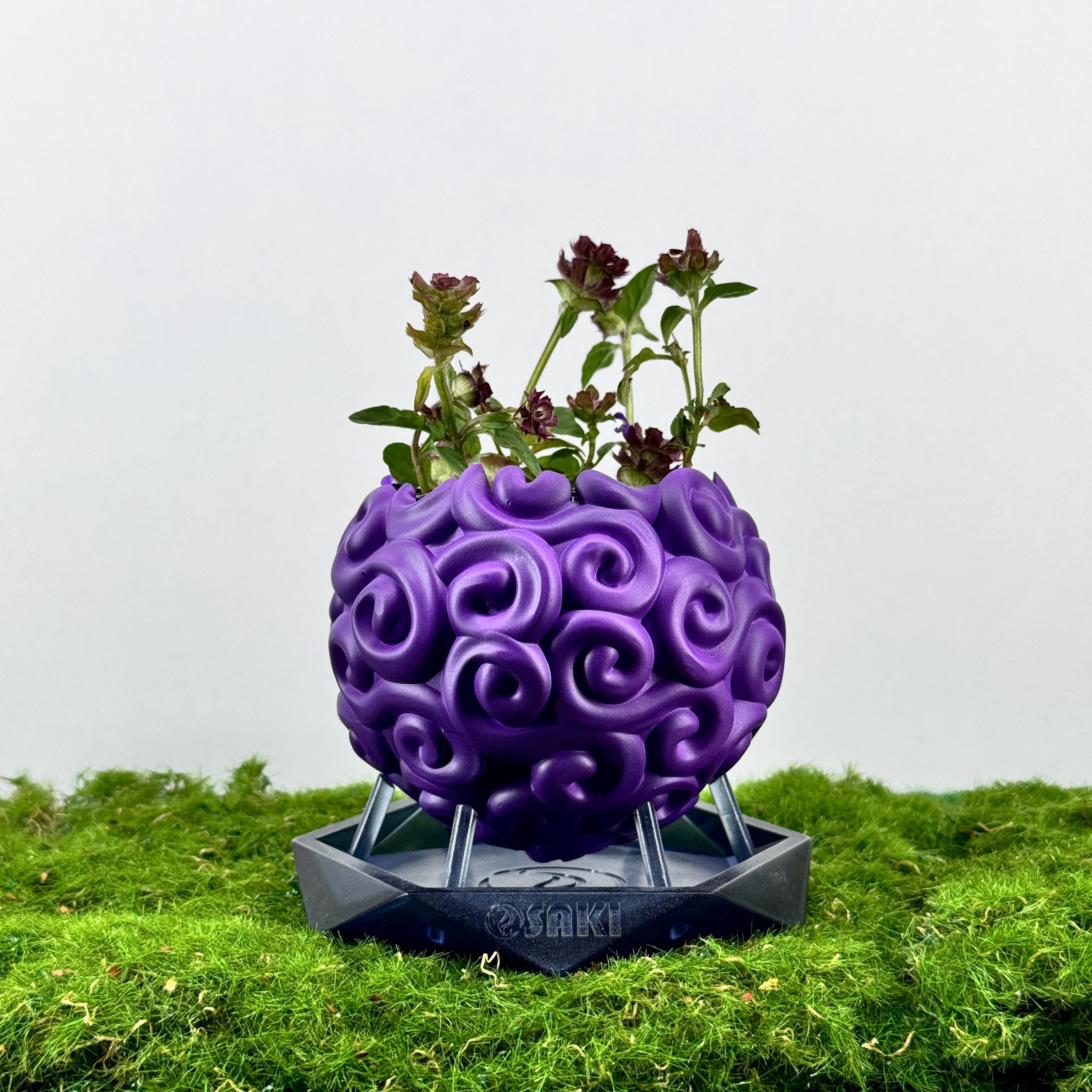 Gomu Gomu No Mi Flower Pot – Devil Fruit, Original One Piece