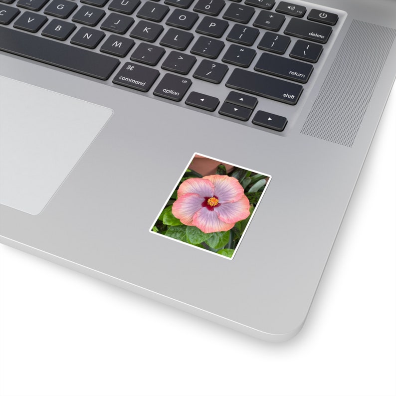 Perzikpaarse hibiscus sticker: Vinyl bloemensticker afbeelding 5