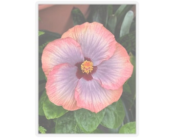 Perzikpaarse hibiscus sticker: Vinyl bloemensticker