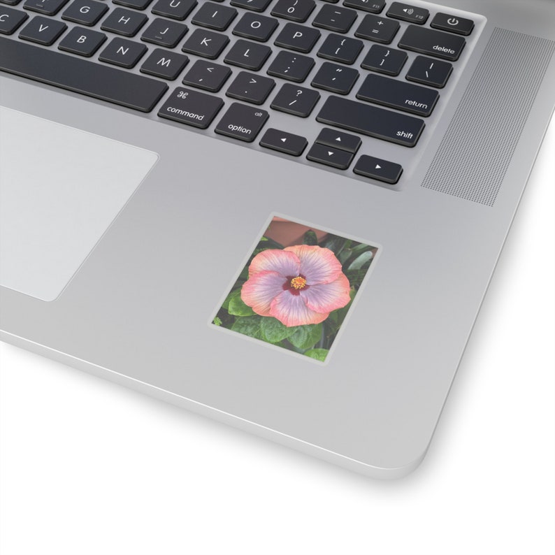 Perzikpaarse hibiscus sticker: Vinyl bloemensticker afbeelding 2