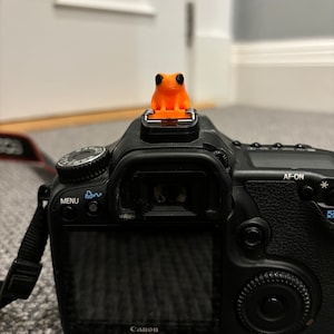 Fred the frog Diopter Cover Orange