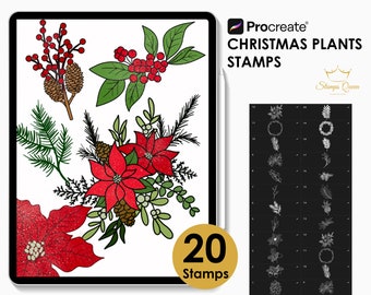May include: A digital illustration of 20 Christmas plant stamps for Procreate. The stamps include wreaths, pine branches, poinsettias, berries, and pinecones. The image shows a collection of these stamps on a white background.