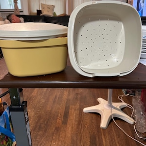 May include: A yellow rectangular food storage container with a white lid and a separate white colander insert. The container has rounded corners and a smooth finish, while the colander features a grid of small drainage holes.