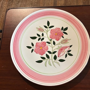 Puede incluir: Un plato redondo de cerámica blanca con un borde rosa y verde. El plato presenta un diseño floral con flores rosas, hojas verdes y tallos. El plato está sobre una superficie marrón oscuro.