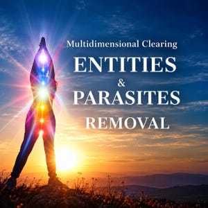 Puede incluir: Silueta de una persona de pie con los brazos levantados ante un atardecer, con puntos de luz multicolores a lo largo de la columna. El texto dice: Multidimensional Clearing ENTITIES & PARASITES REMOVAL.