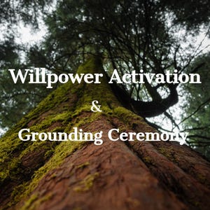 Op de afbeelding: Een close-up van een grote boomstam bedekt met mos, met de tekst "Willpower Activation & Grounding Ceremony" die over de afbeelding is gelegd.