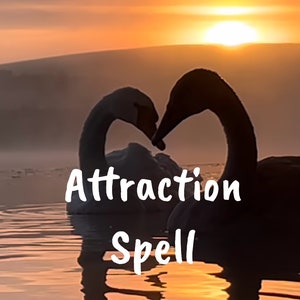 May include: Two swans with their necks intertwined in the shape of a heart, silhouetted against a sunset with the text "Attraction Spell" superimposed on the image.